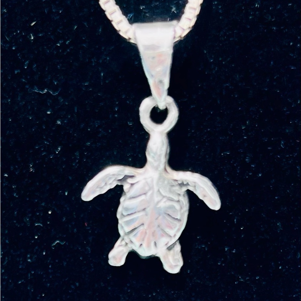 Silver Turtle pendant necklace